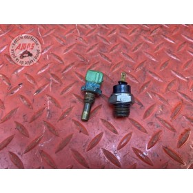 Sonde de temperature 