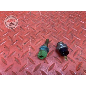Sonde de temperature 