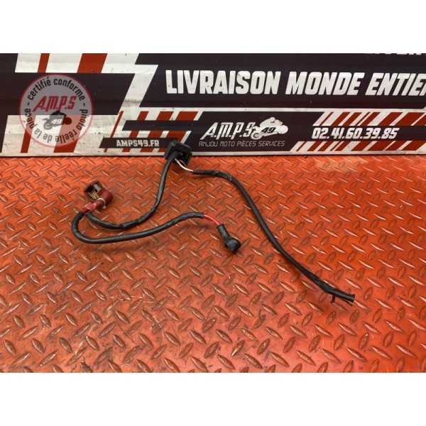 Cable de batterie avec fusibles 