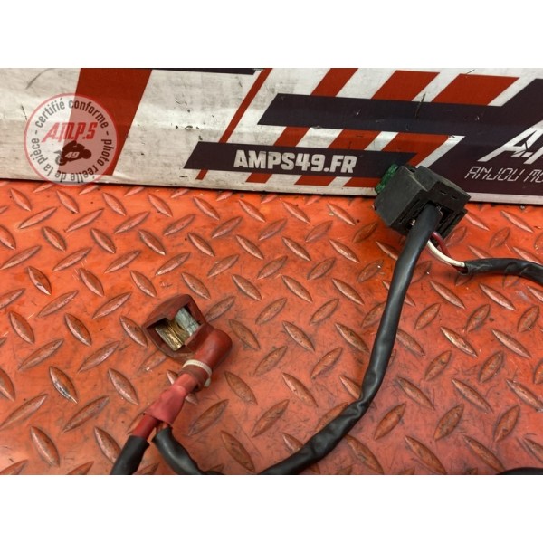 Cable de batterie avec fusibles 