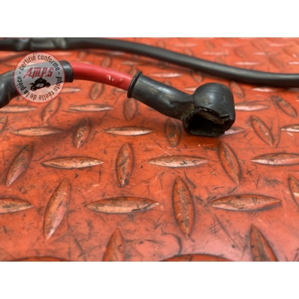 Cable de batterie avec fusibles 