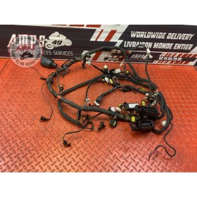 Faisceau électrique principale 