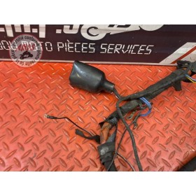 Faisceau électrique principale 