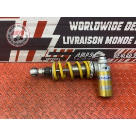 Amortisseur arrière 