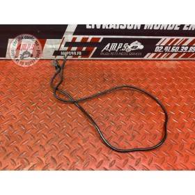 Cable de masse 