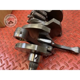 Vilebrequin avec bielles 