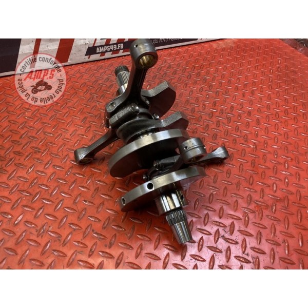 Vilebrequin avec bielles 