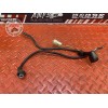 Cable de masse 