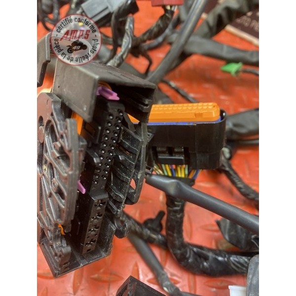 Faisceau électrique principale 