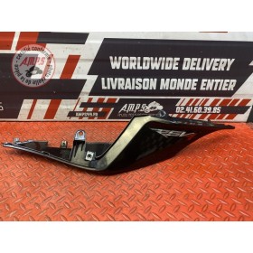 Coque arrière gauche 