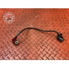 Cable de batterie 
