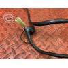 Cable de masse 
