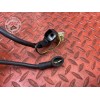 Cable de masse 