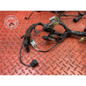 Faisceau électrique principale 