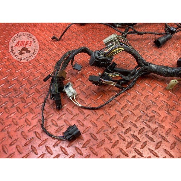 Faisceau électrique principale 
