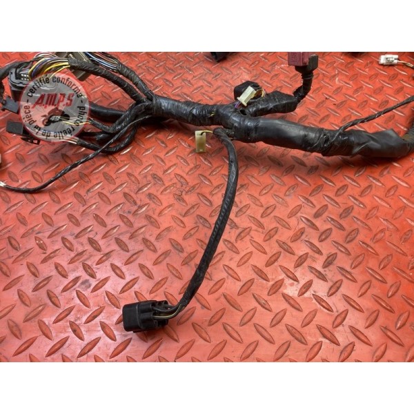 Faisceau électrique principale 