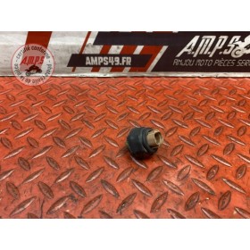 Sonde de température d'eau 