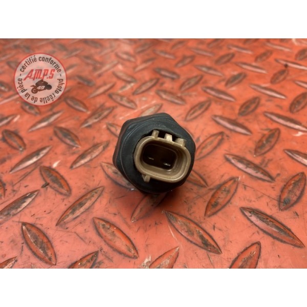 Sonde de température d'eau 