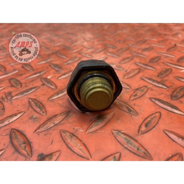 Sonde de température d'eau 