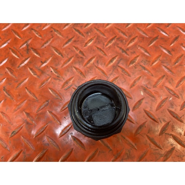 Bouchon de clapet SAI 