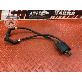 Bobine d'allumage 1-4 