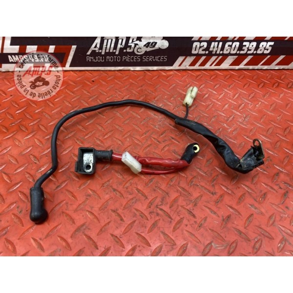 Cable de batterie 