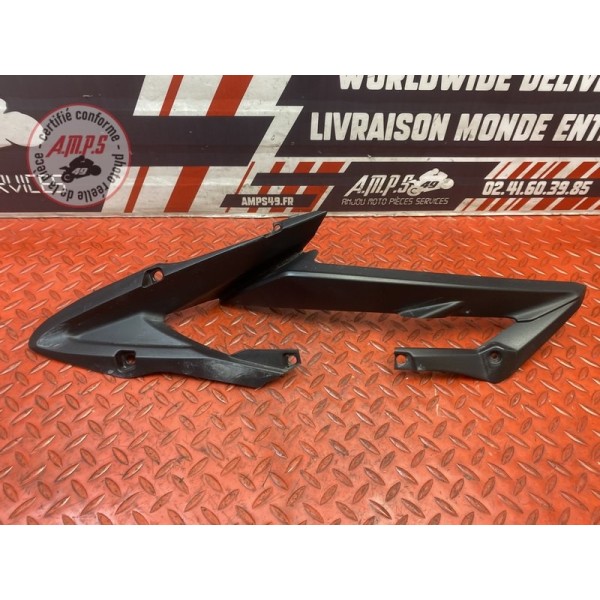 Cache sur flanc de carénage gauche 