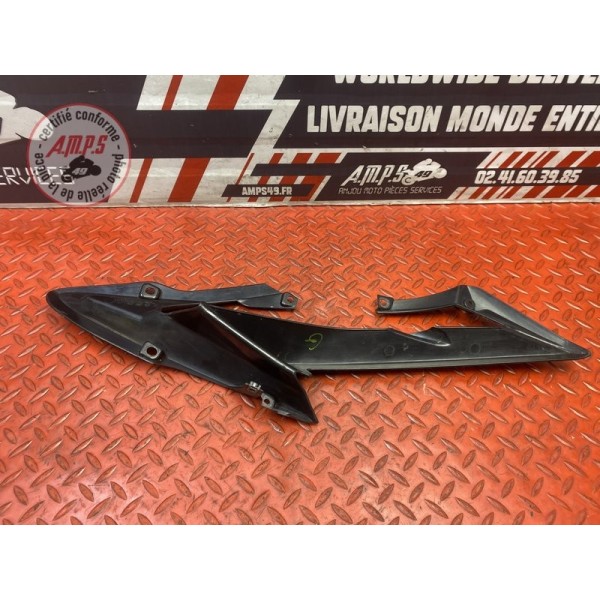 Cache sur flanc de carénage gauche 