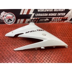 Flanc de carénage gauche 