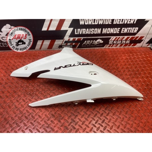 Flanc de carénage gauche 