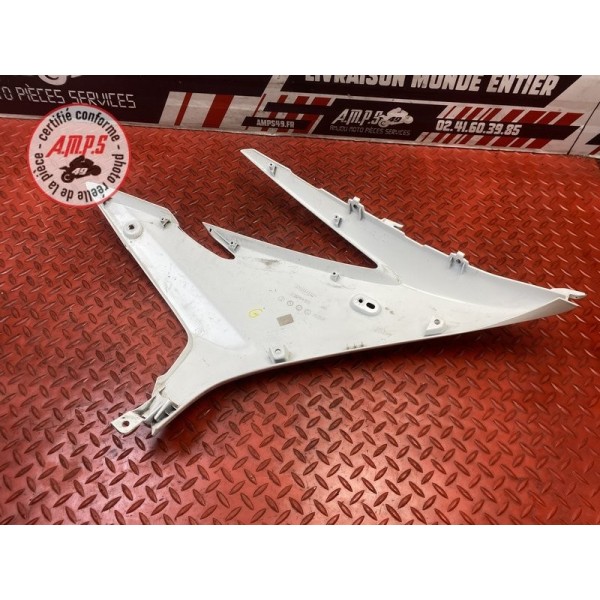 Flanc de carénage gauche 