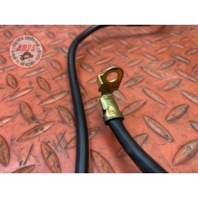 Cable de batterie 