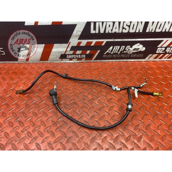 Cable de masse 