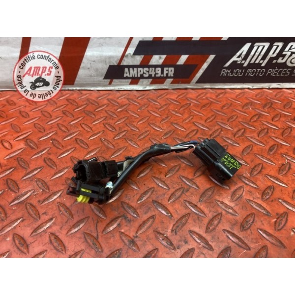 Faisceau sonde moteur 