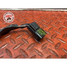 Faisceau sonde moteur 