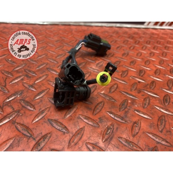 Faisceau sonde moteur 