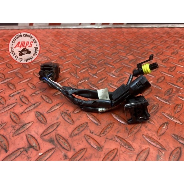 Faisceau sonde moteur 