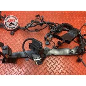 Faisceau électrique principale 