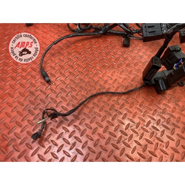 Faisceau électrique principale 