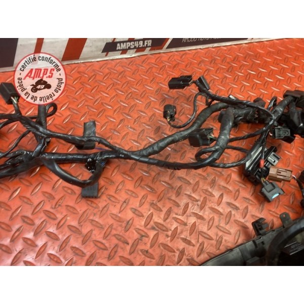 Faisceau électrique principale 