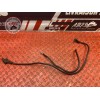 Cable de masse