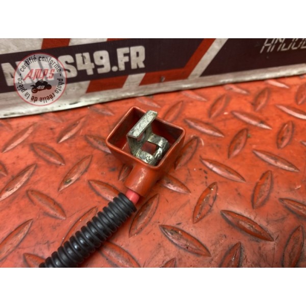 Cable de batterie 