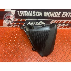 Cache plastique batterie 