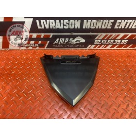 Coque arrière centrale 