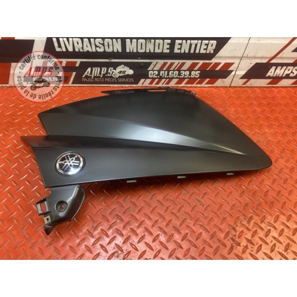 Flanc de carénage gauche 