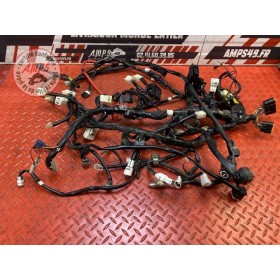 Faisceau électrique principale 