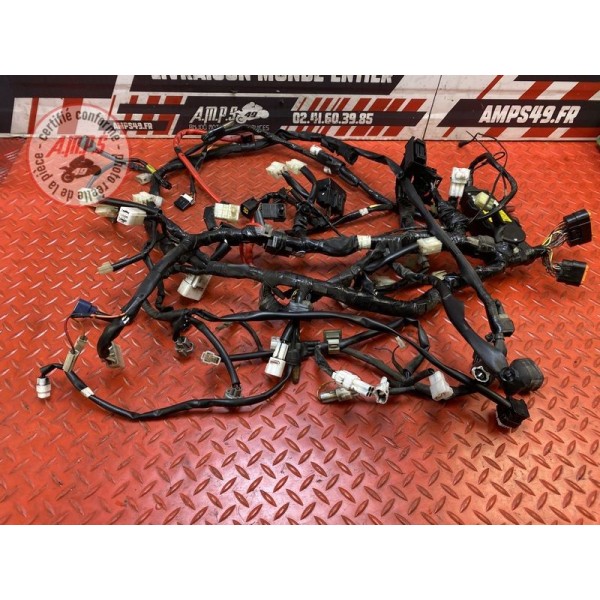 Faisceau électrique principale 