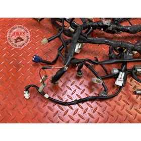 Faisceau électrique principale 