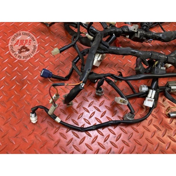 Faisceau électrique principale 