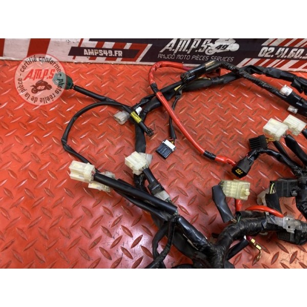 Faisceau électrique principale 